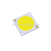 High Lumen 20W 30W 50 Watt COB LED Chip Indoor Outdoor Lighting