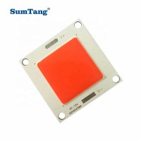 RED COB 4040 12V 20-50W LED CHIP